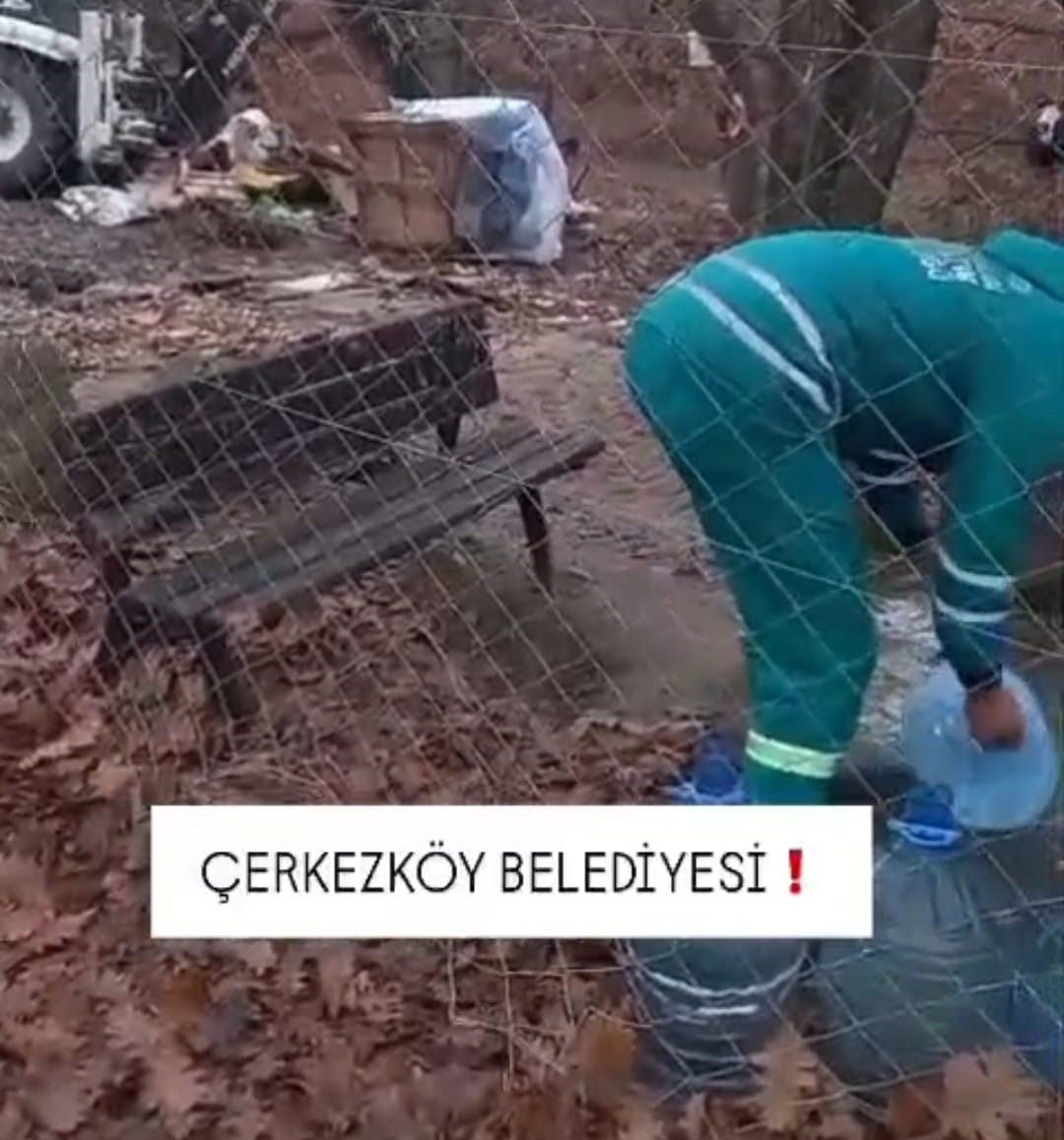 Çerkezköy Belediyesi ve Hayvan Hakları: Acı Dolu Bir Durum