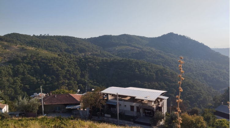 Kavacık Köyü ve Üzüm Festivali